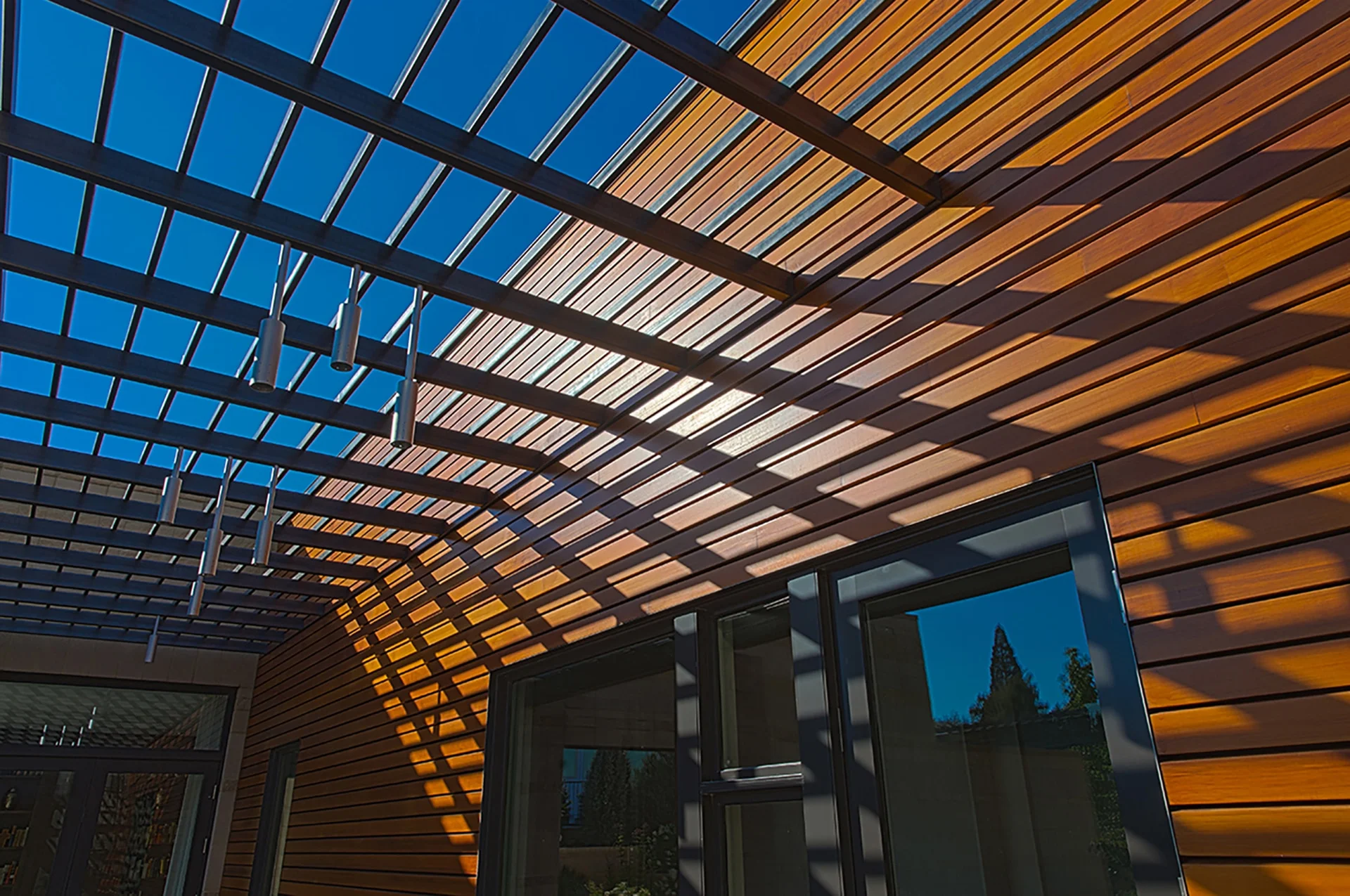Steel trellis overhead casting a lattice of shadows on cedar siding