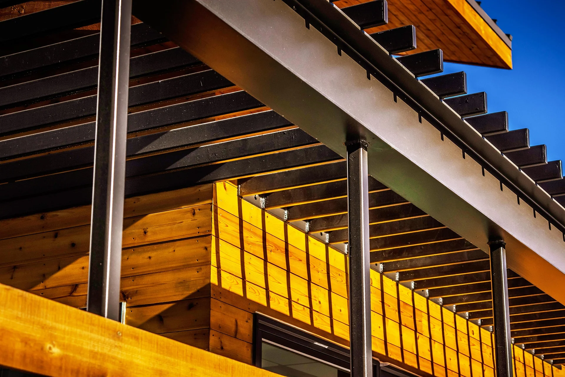 Detail of timber rafters and wood slat screens against a blue sky