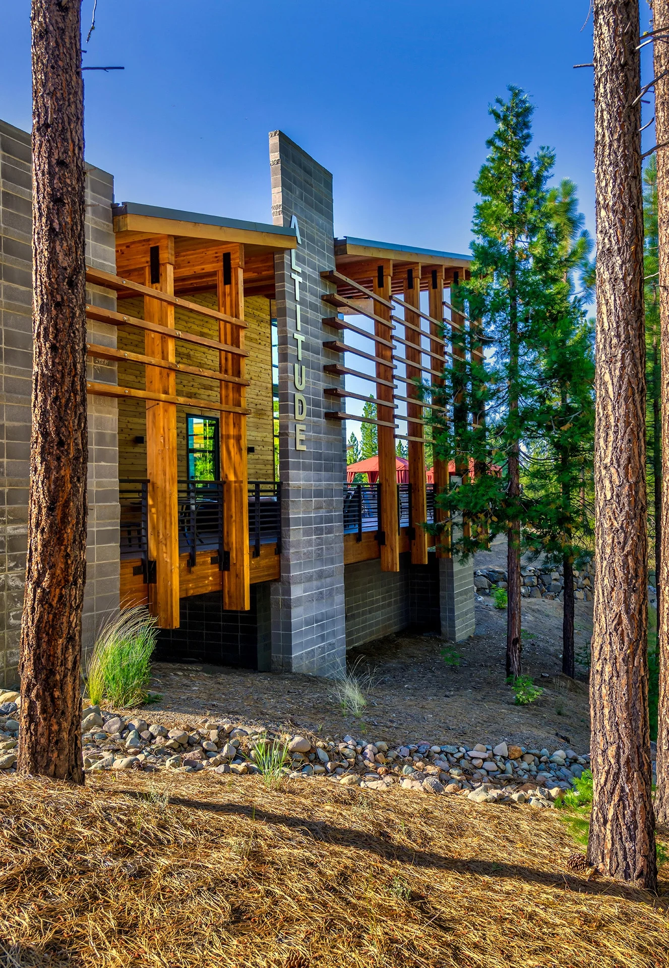 Masonry wall and wood fins between tall pines