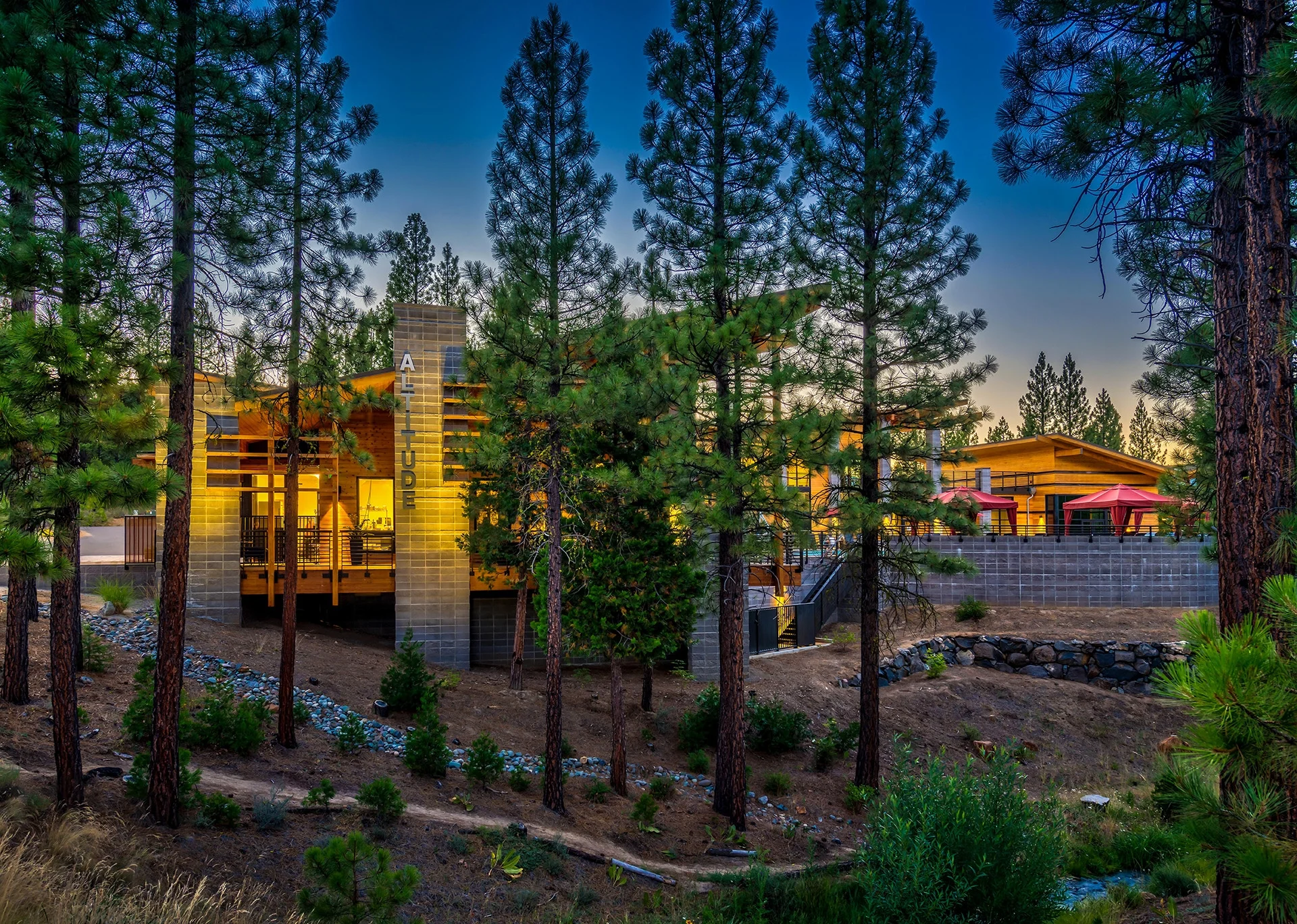 Altitude glimpsed through pines at golden hour