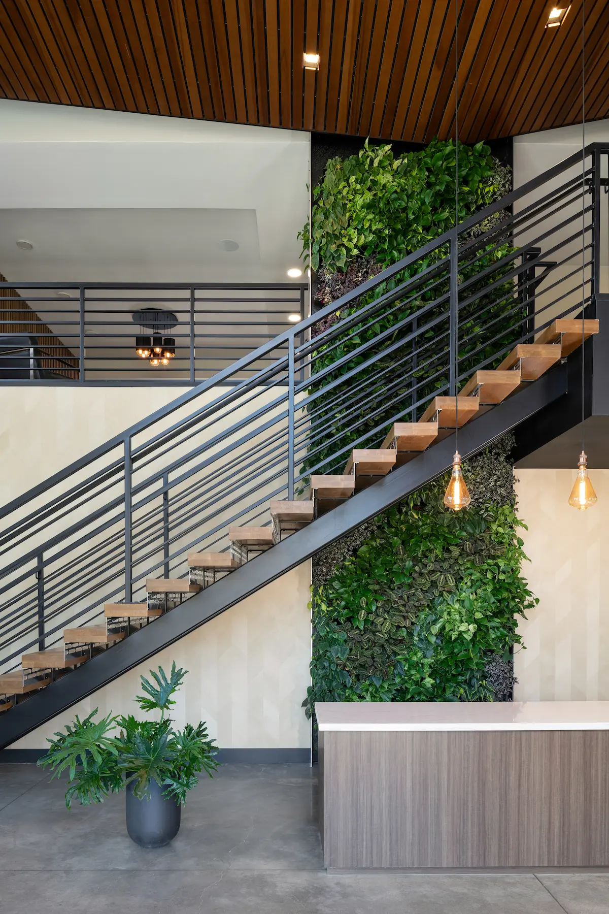 Stair rising alongside a vertical green wall under a wood ceiling