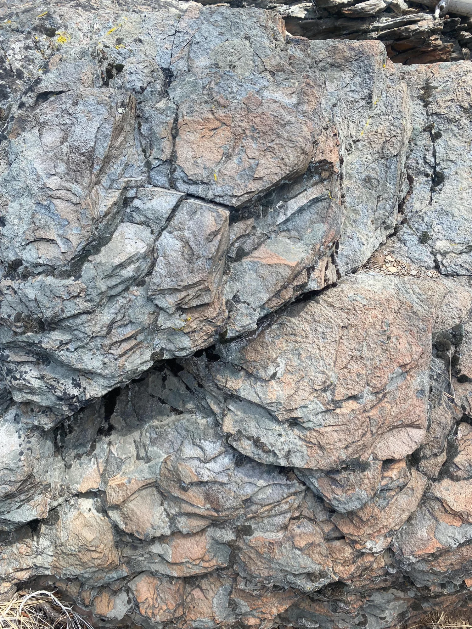 Large boulder resting in the earth on the forested site