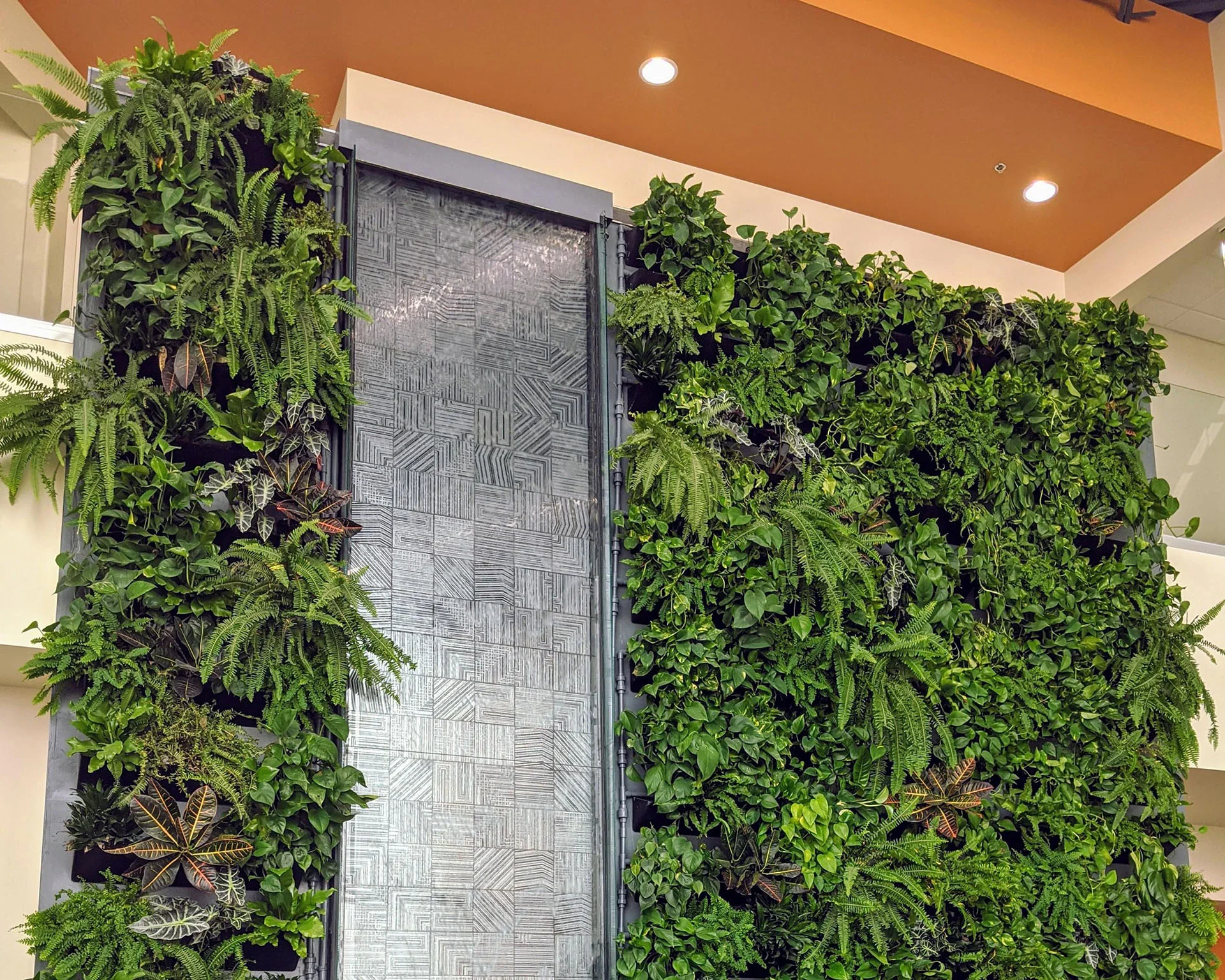 Ferns and tropical plants on either side of a textured water wall